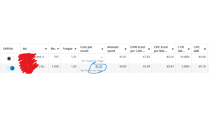 Meta Ads Results
